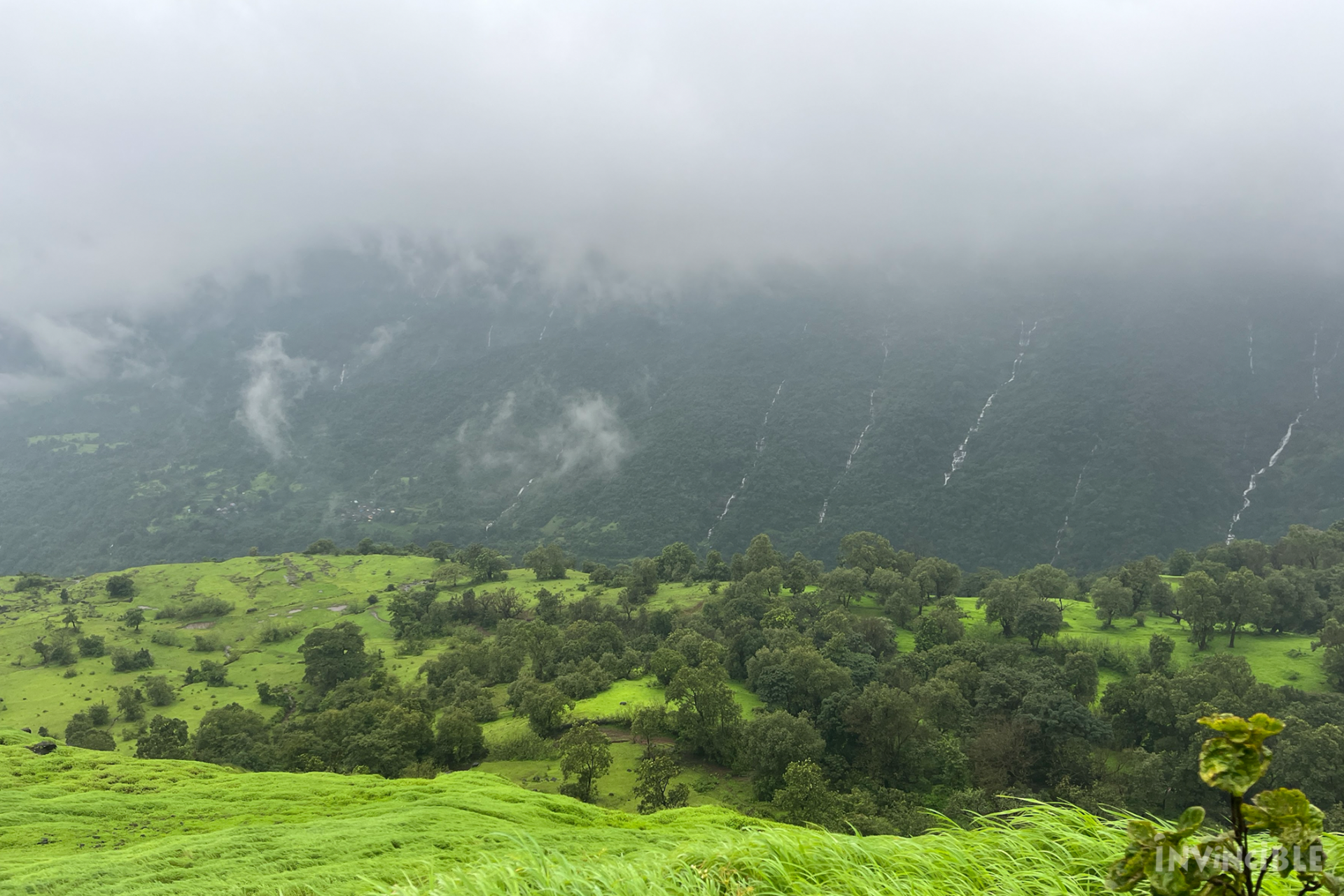 Invincible NGO | India's Largest Trekking Organisation