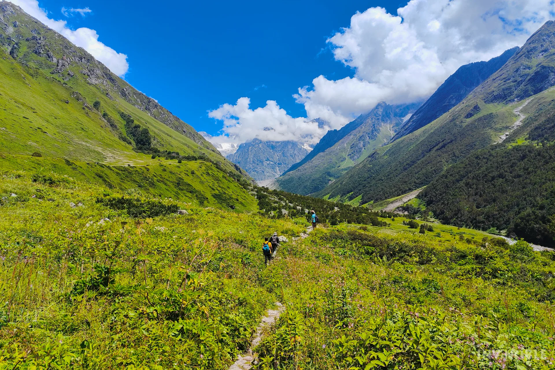Invincible NGO | India's Largest Trekking Organisation