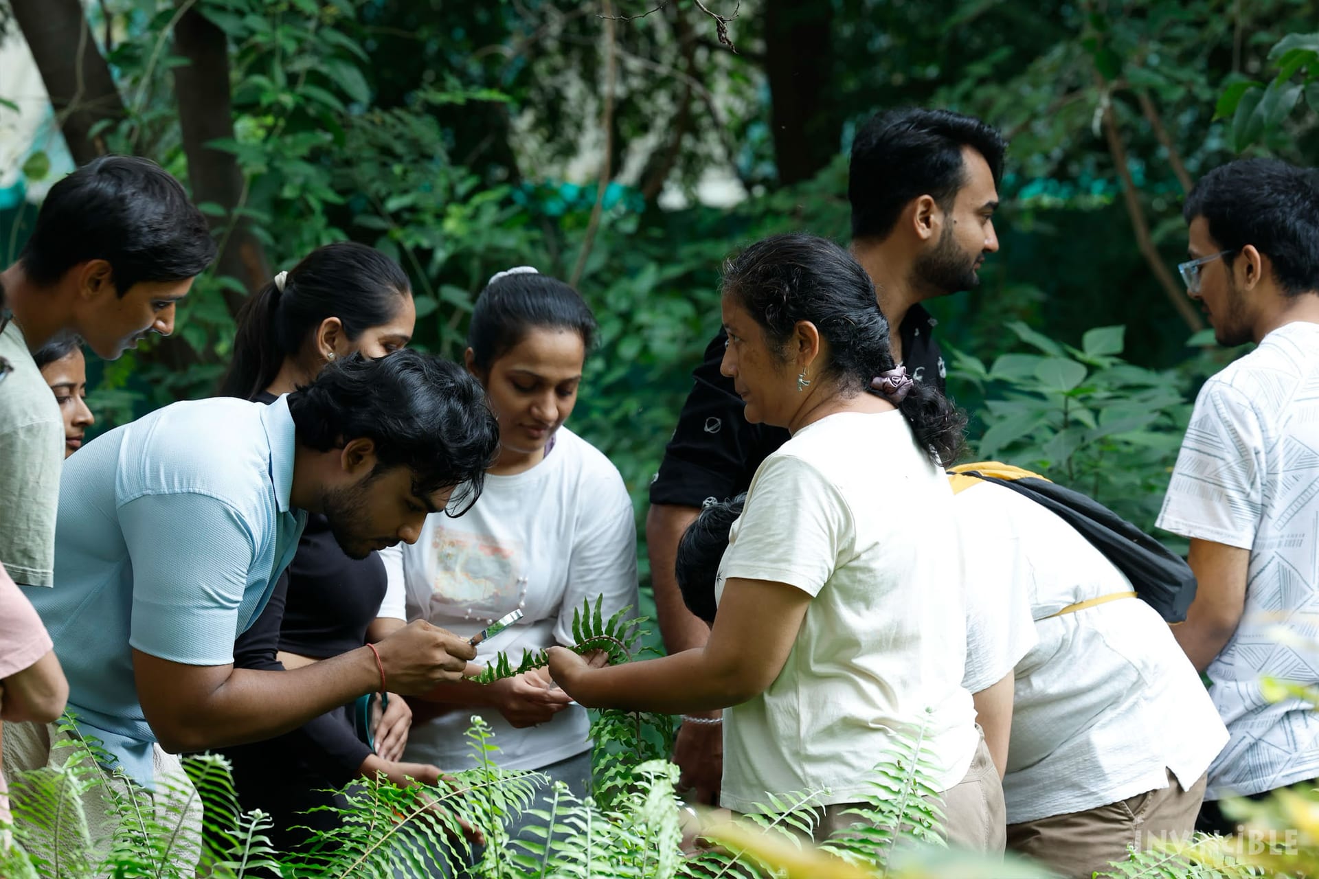 Invincible NGO | India's Largest Trekking Organisation
